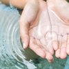¿Conectando voluntades?: por una cultura del cuidado del agua